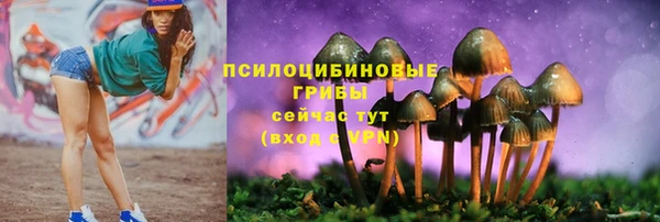 круглые Алексин
